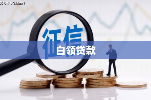 蓝田白领贷款