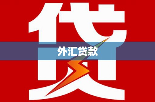 蓝田外汇贷款
