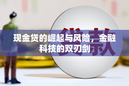 蓝田现金贷的崛起与风险，金融科技的双刃剑