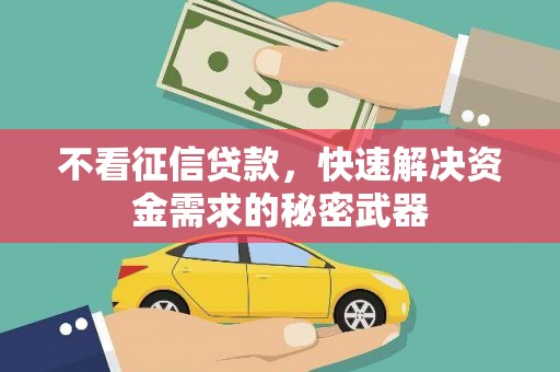 蓝田不看征信贷款，快速解决资金需求的秘密武器