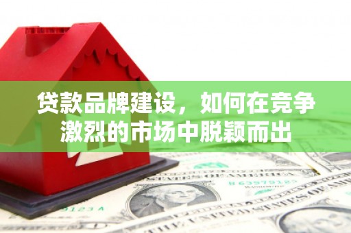 蓝田贷款品牌建设，如何在竞争激烈的市场中脱颖而出
