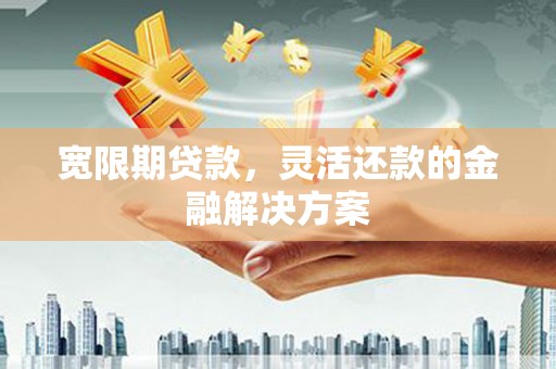 蓝田宽限期贷款，灵活还款的金融解决方案