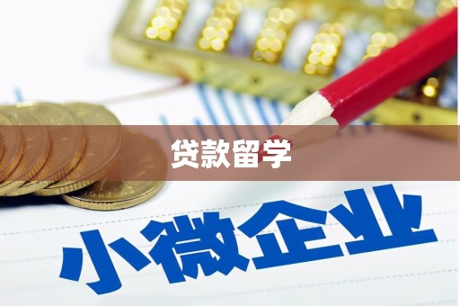 蓝田贷款留学