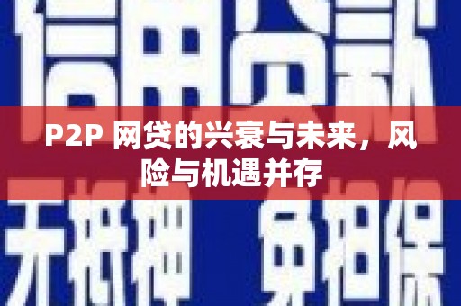 蓝田P2P 网贷的兴衰与未来，风险与机遇并存
