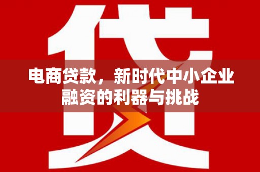 蓝田电商贷款，新时代中小企业融资的利器与挑战