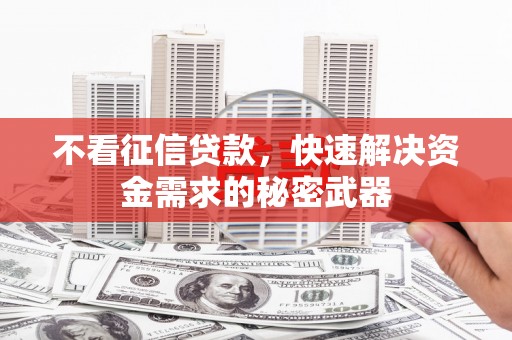 蓝田不看征信贷款，快速解决资金需求的秘密武器