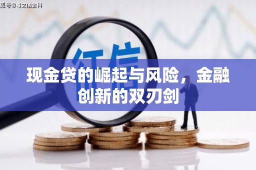 蓝田现金贷的崛起与风险，金融创新的双刃剑