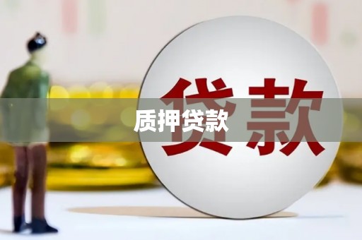 蓝田质押贷款