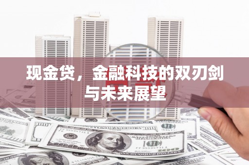 蓝田现金贷，金融科技的双刃剑与未来展望