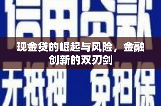 蓝田现金贷的崛起与风险，金融创新的双刃剑