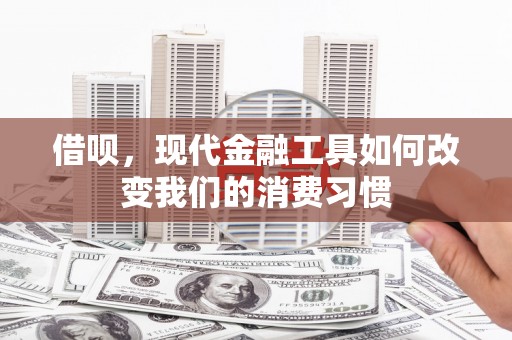 蓝田借呗，现代金融工具如何改变我们的消费习惯