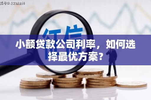 蓝田小额贷款公司利率，如何选择最优方案？