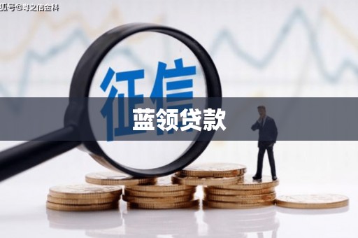 蓝田蓝领贷款