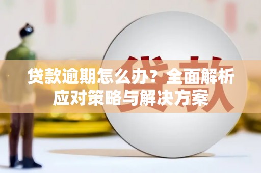 蓝田贷款逾期怎么办？全面解析应对策略与解决方案