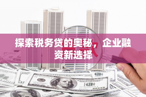 蓝田探索税务贷的奥秘，企业融资新选择