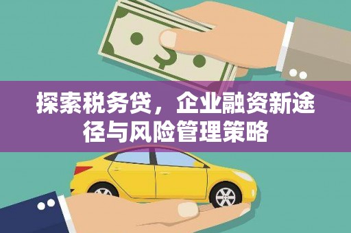 蓝田探索税务贷，企业融资新途径与风险管理策略