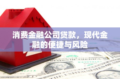 蓝田消费金融公司贷款，现代金融的便捷与风险