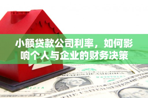蓝田小额贷款公司利率，如何影响个人与企业的财务决策