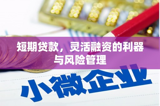蓝田短期贷款，灵活融资的利器与风险管理