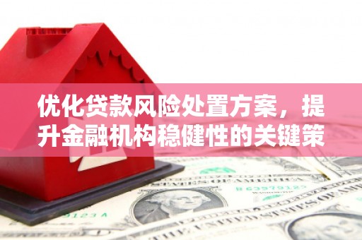 蓝田优化贷款风险处置方案，提升金融机构稳健性的关键策略