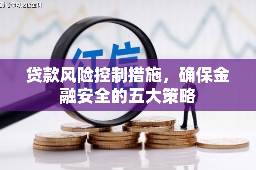 蓝田贷款风险控制措施，确保金融安全的五大策略