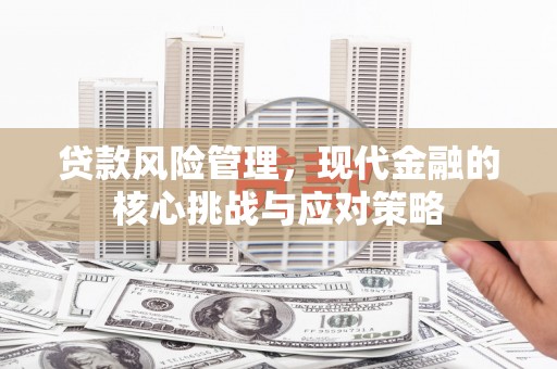 蓝田贷款风险管理，现代金融的核心挑战与应对策略