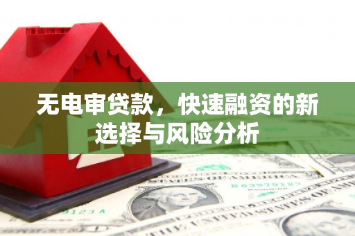 蓝田无电审贷款，快速融资的新选择与风险分析