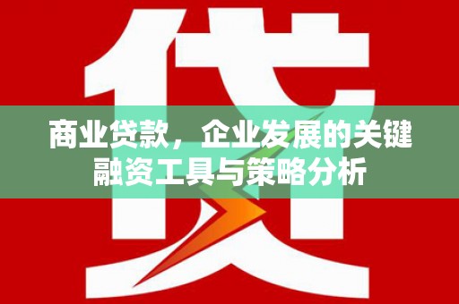 蓝田商业贷款，企业发展的关键融资工具与策略分析