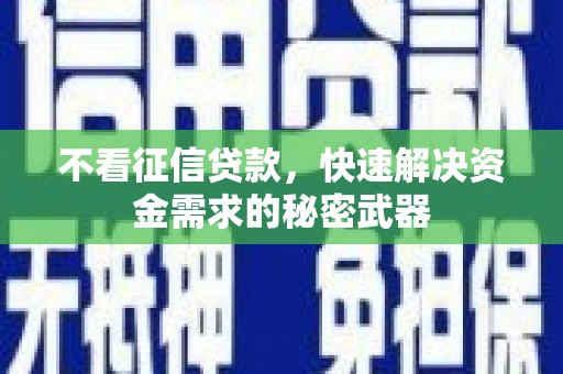 蓝田不看征信贷款，快速解决资金需求的秘密武器