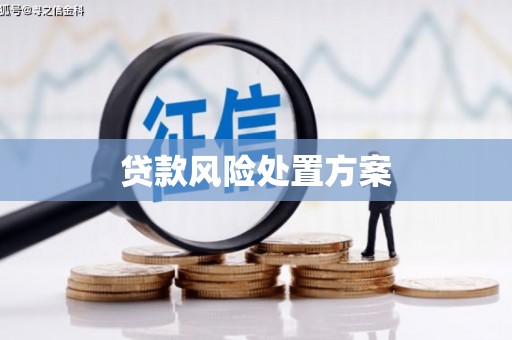 蓝田贷款风险处置方案