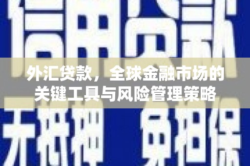 蓝田外汇贷款，全球金融市场的关键工具与风险管理策略