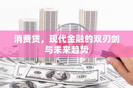 蓝田消费贷，现代金融的双刃剑与未来趋势