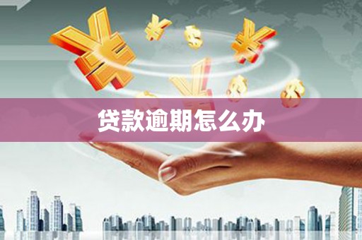 蓝田贷款逾期怎么办
