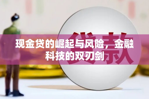 蓝田现金贷的崛起与风险，金融科技的双刃剑