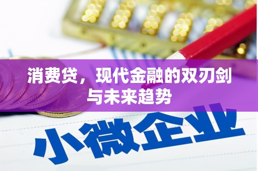 蓝田消费贷，现代金融的双刃剑与未来趋势