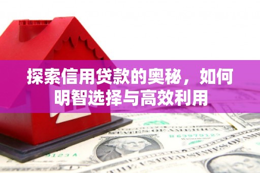 蓝田探索信用贷款的奥秘，如何明智选择与高效利用