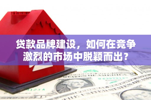 蓝田贷款品牌建设，如何在竞争激烈的市场中脱颖而出？