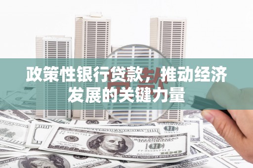 蓝田政策性银行贷款，推动经济发展的关键力量