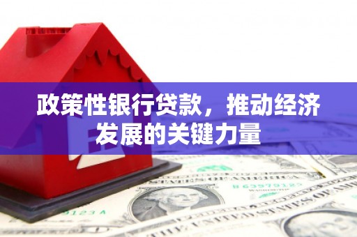 蓝田政策性银行贷款，推动经济发展的关键力量