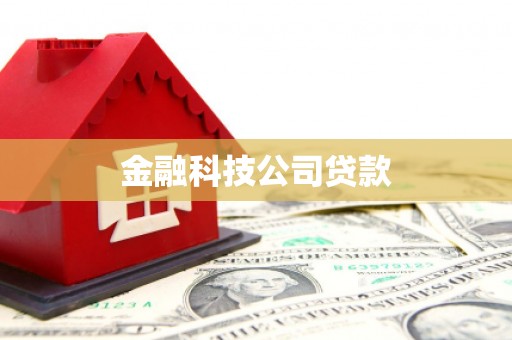 蓝田金融科技公司贷款