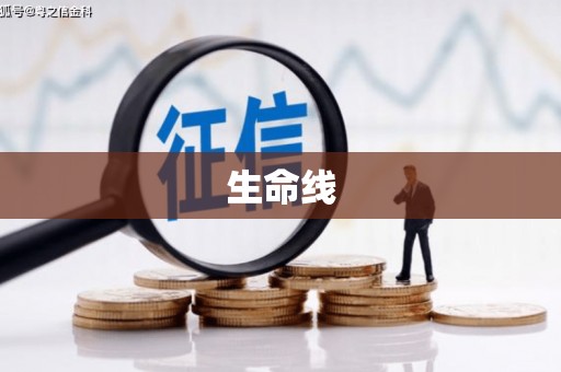 蓝田生命线