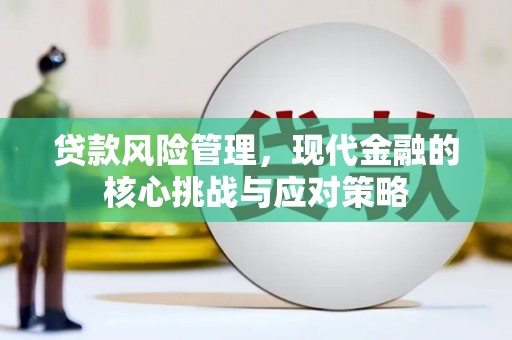 蓝田贷款风险管理，现代金融的核心挑战与应对策略