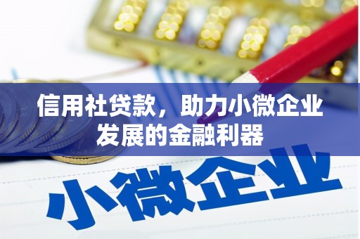 蓝田信用社贷款，助力小微企业发展的金融利器