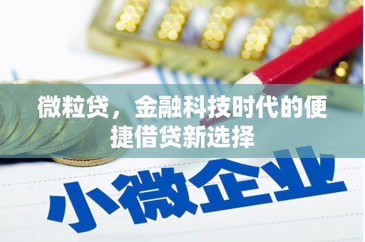 蓝田微粒贷，金融科技时代的便捷借贷新选择
