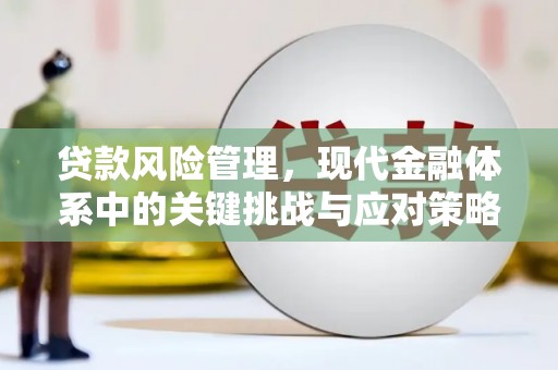 蓝田贷款风险管理，现代金融体系中的关键挑战与应对策略