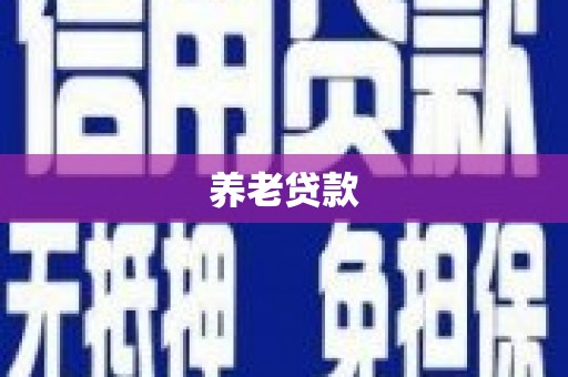 蓝田养老贷款