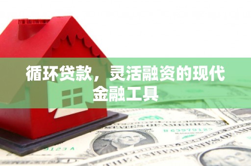 蓝田循环贷款，灵活融资的现代金融工具