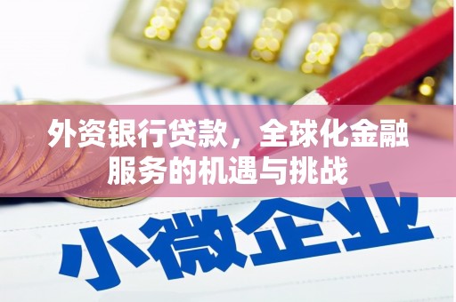 蓝田外资银行贷款，全球化金融服务的机遇与挑战