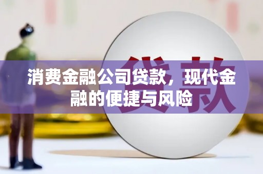 蓝田消费金融公司贷款，现代金融的便捷与风险
