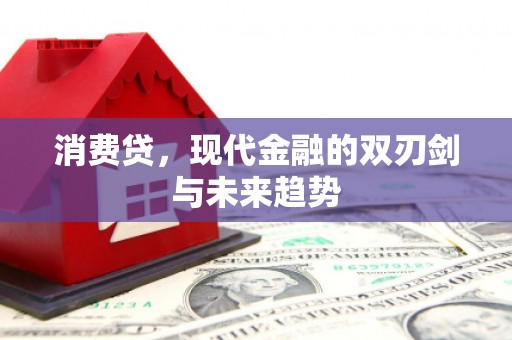 蓝田消费贷，现代金融的双刃剑与未来趋势